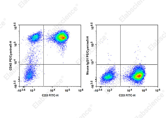 PE/Cyanine5 Anti-Human CD43 Antibody[HI161]-1