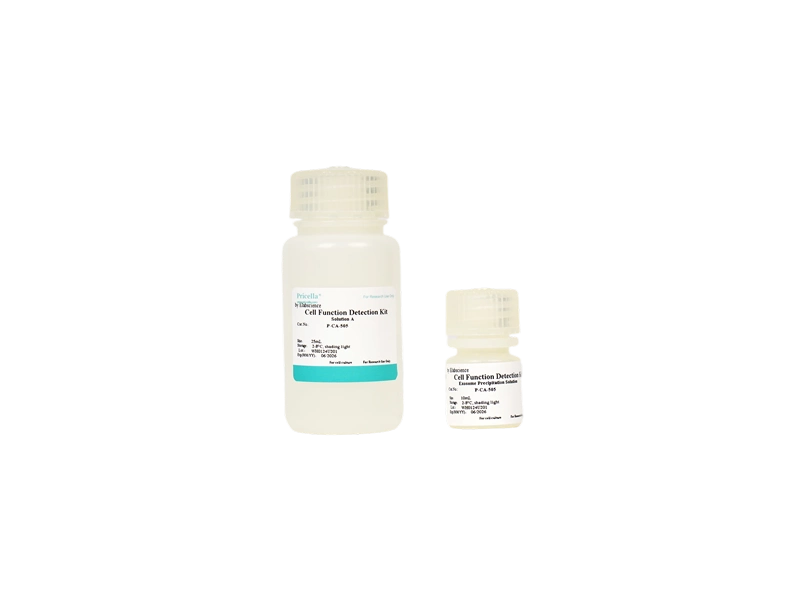 Exosome Isolation Kit (Precipitation) - 2