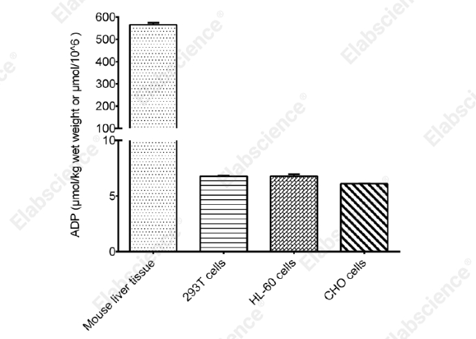 Adenosine Diphosphate (ADP) Fluorometric Assay Kit - 2
