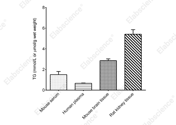 Triglyceride (TG) Colorimetric Assay Kit (Single Reagent, GPO-PAP Method) - 2