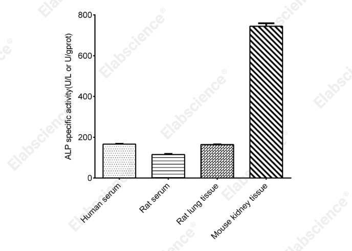 Alkaline Phosphatase (ALP) Activity Assay Kit (PNPP Method) - 2