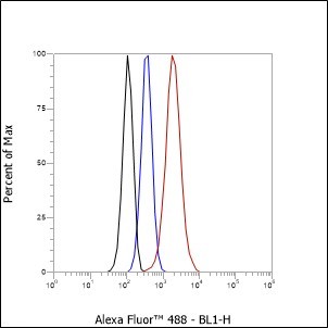 Recombinant Ly-6K Monoclonal Antibody - small - 2