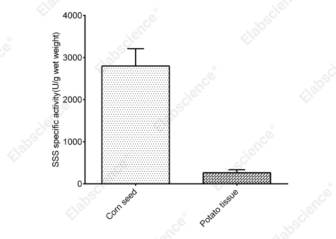 Soluble Starch Synthase (SSS) Activity Colorimetric Assay Kit - 1