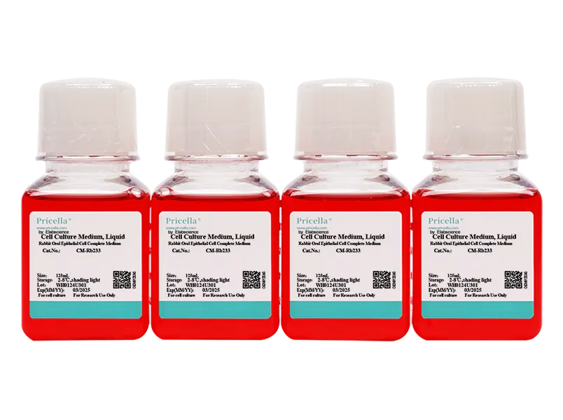 Rabbit Oral Epithelial Cell Complete Medium - small - 2