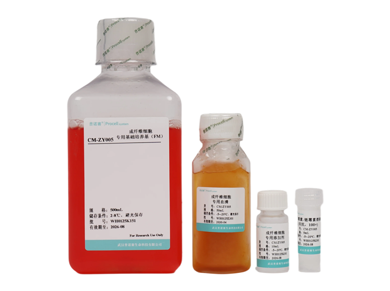 Fibroblast Medium (FM)-searchlist-1