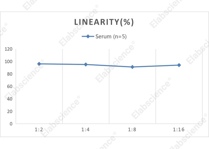 CellaQuant™ Human IFN-β (Interferon Beta) ELISA Kit - 2