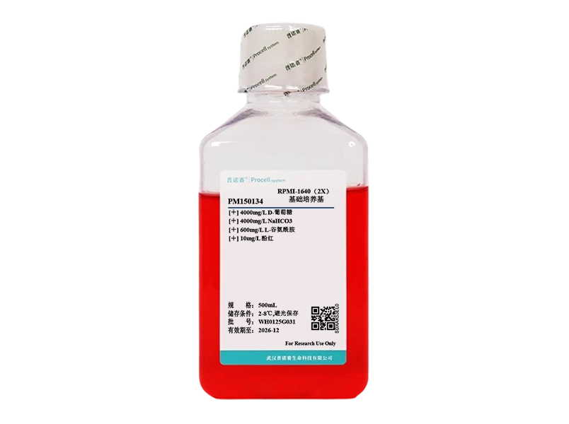 https://789.bio/ec/QMWvc8ku