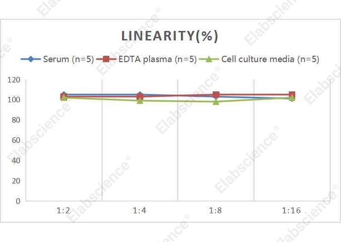 Mini Sample Human MMP-9 (Matrix metalloproteinase-9) ELISA Kit - 2