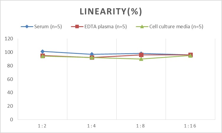 High Sensitivity Rat IL-10(Interleukin 10) ELISA Kit-产品推荐-4