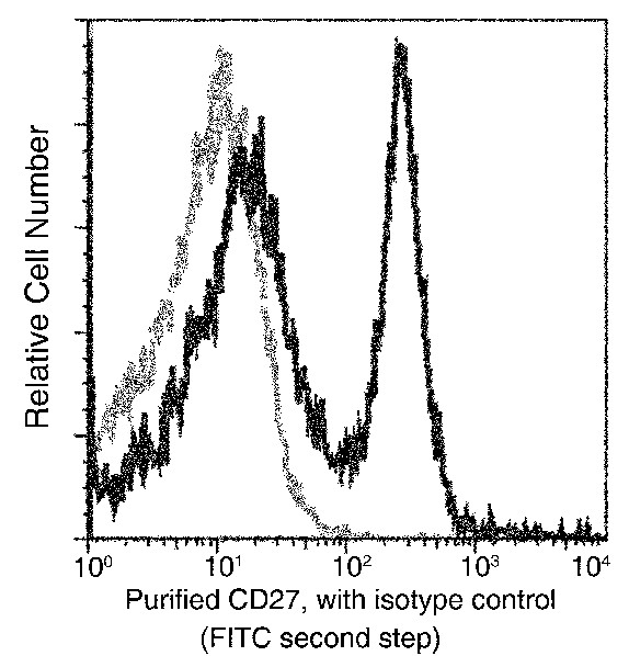 Recombinant CD27 Monoclonal Antibody - small - 2