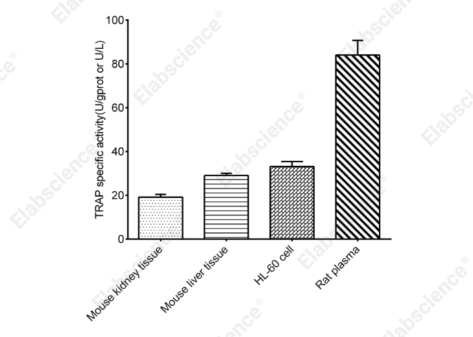 Tartrate Resistant Acid Phosphatase (TRAP) Activity Assay Kit - 2