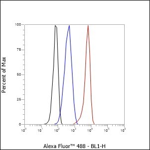 Recombinant Smac/Diablo Monoclonal Antibody - small - 4