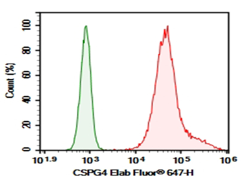 Purified Anti-Human CSPG4 Antibody[DA005] - 1