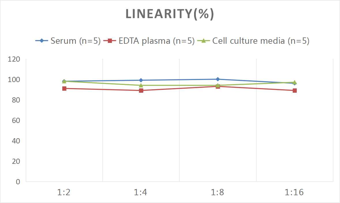 Human PDGF-AB(Platelet Derived Growth Factor AB) ELISA Kit-产品推荐-2