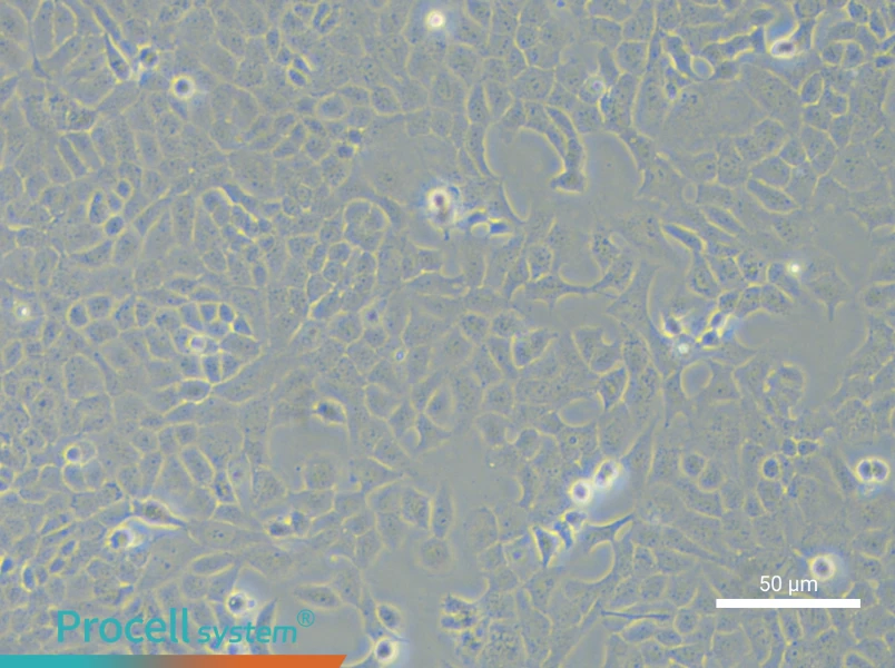 MLE-12MLE-12 - 6