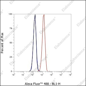 Recombinant S100A13 Monoclonal Antibody - 3