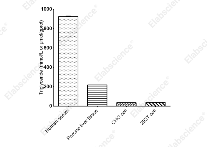 Triglyceride（TG）Fluorometric Assay Kit - 2