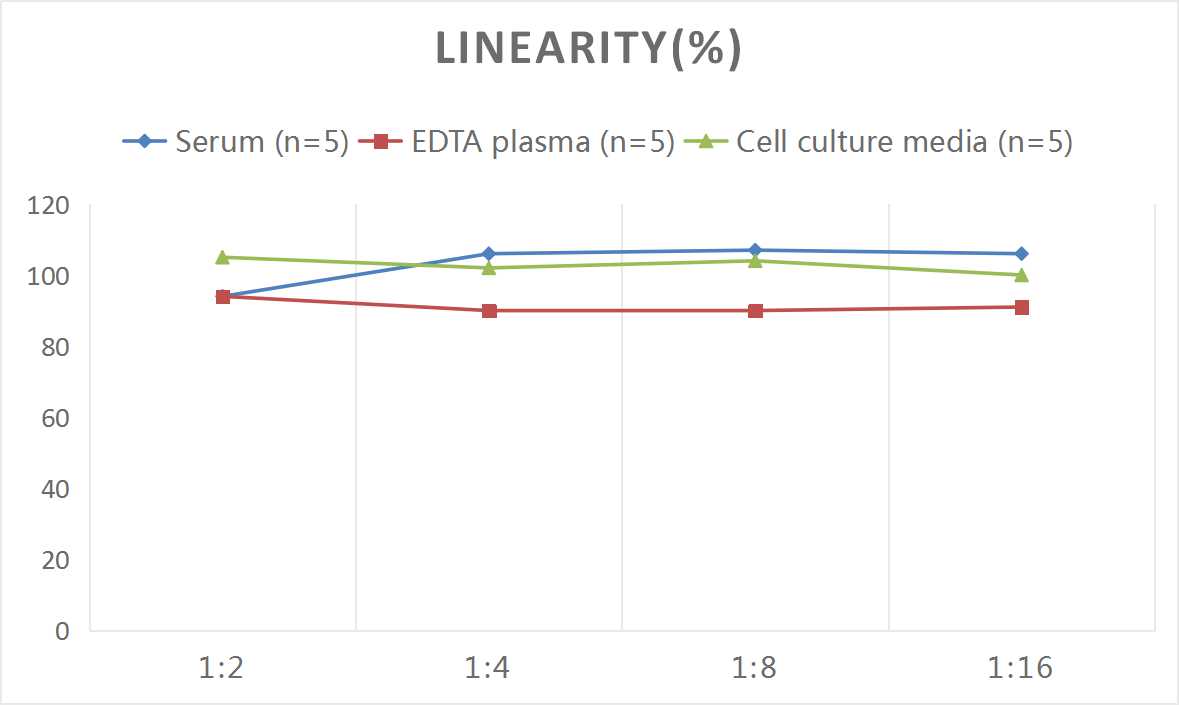 Rat IL-17A(Interleukin 17A) ELISA Kit-1
