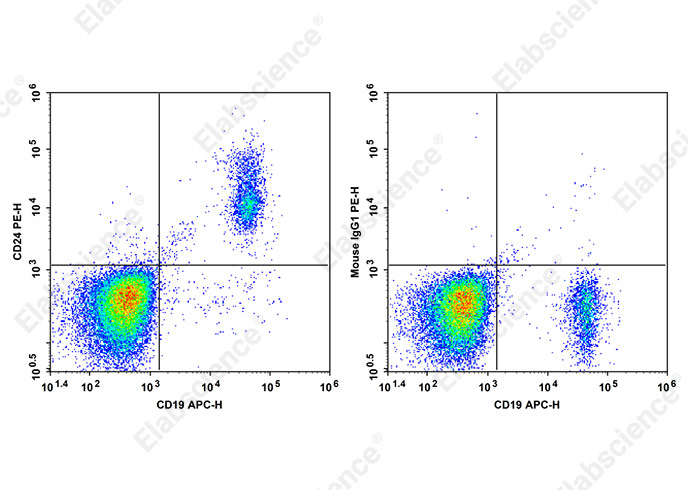 PE Anti-Human CD24 Antibody[HIQB24]-1