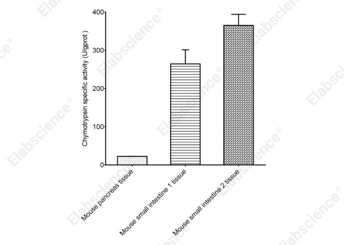Chymotrypsin Activity Colorimetric Assay Kit - 2