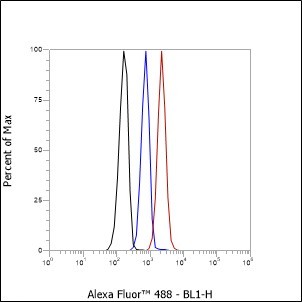 Recombinant CD1a Monoclonal Antibody - small - 6