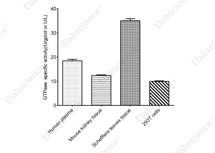 ATPase/GTPase Activity Colorimetric Assay kit - 3