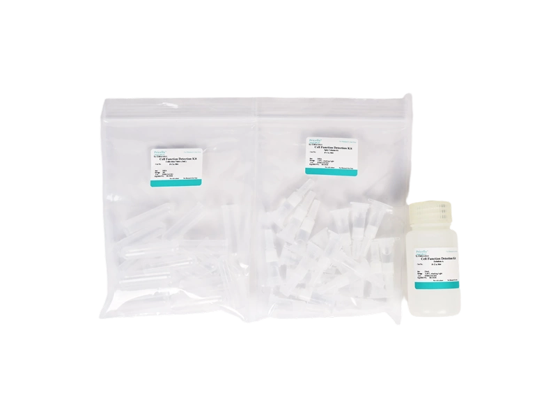 Spin Column Exosome Isolation Kit - small - 2