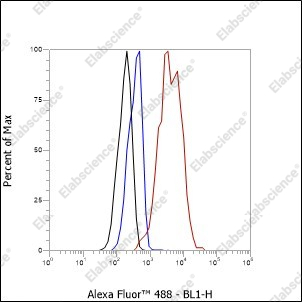 Recombinant CD47 Monoclonal Antibody - 6