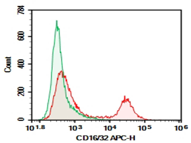 Purified Anti-Mouse CD16/32 Antibody[93] - 1