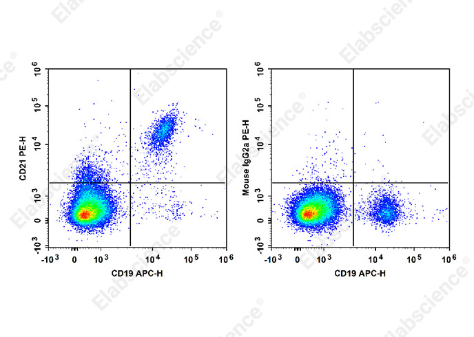 Purified Anti-Human/Mouse/Rat CD47 Antibody[MIAP410]-产品推荐-5