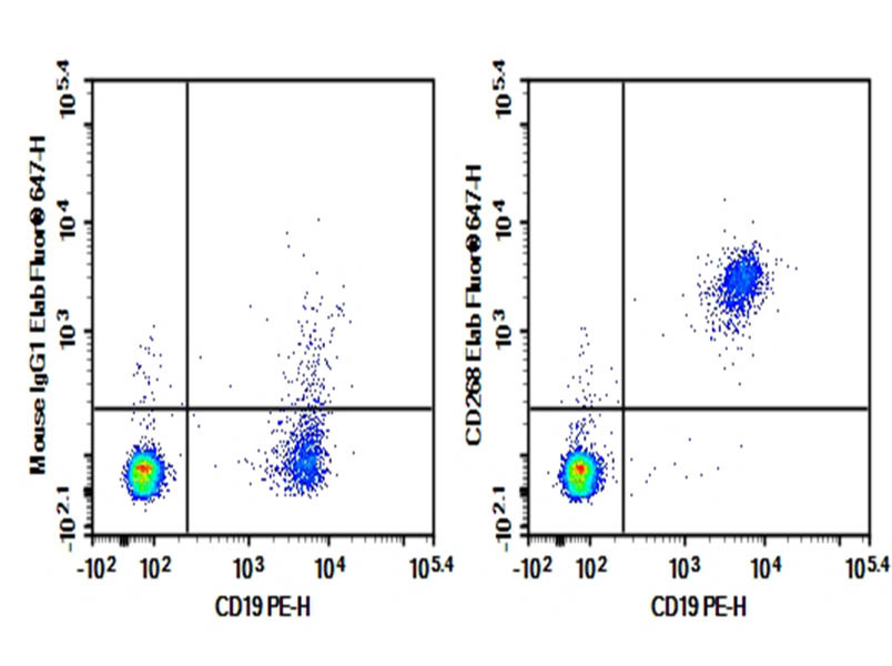 Purified Anti-Human CD268 Antibody[H353-6G10]-1
