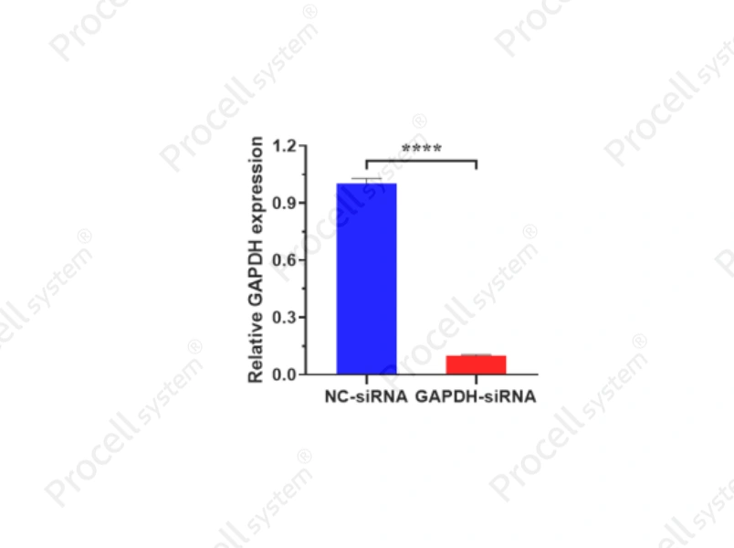 Mergene1000<sup>&reg;</sup> Hela Cell-Specific siRNA Transfection Reagent - 2
