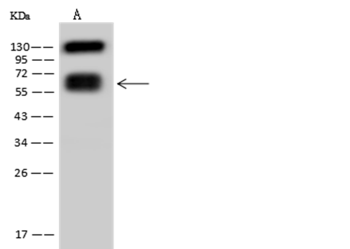 loading