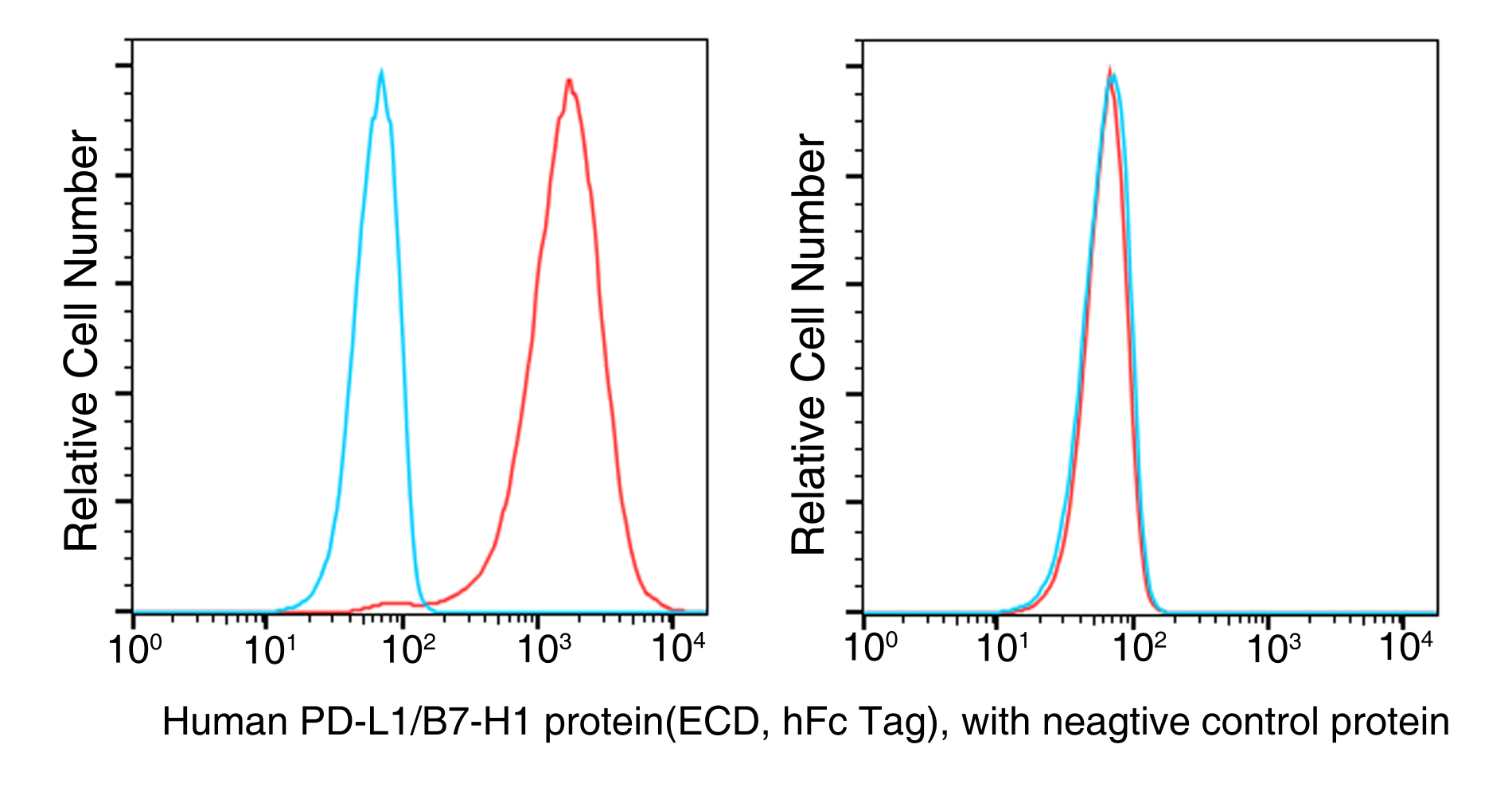 Recombinant Human PD-L1/B7-H1/CD274 Protein (Fc Tag) - small - 6