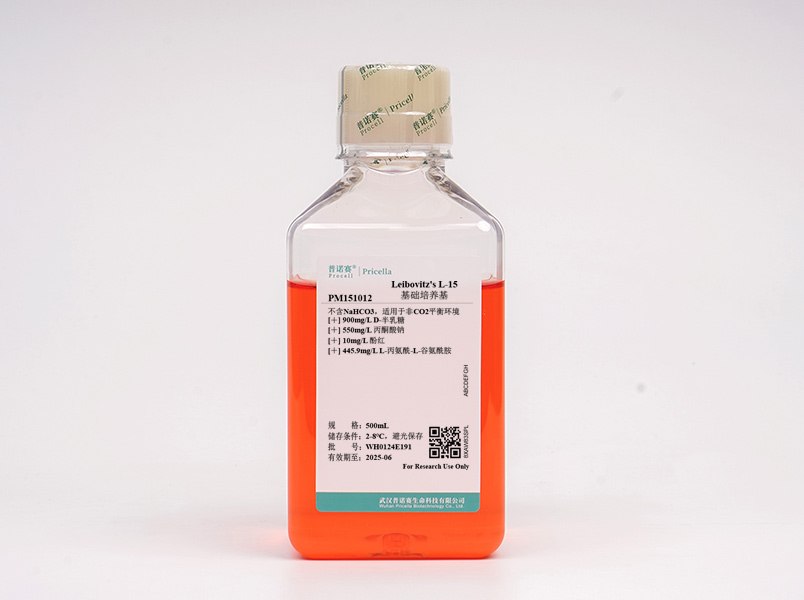https://789.bio/ec/R44dmS