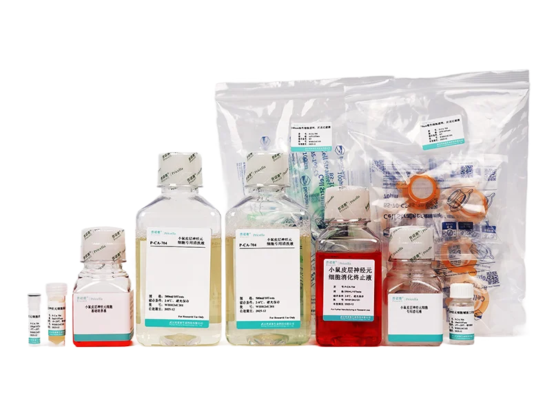 https://789.bio/ec/R84Va9