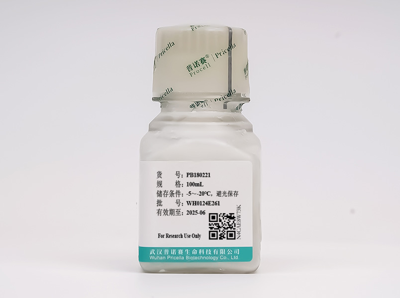 https://789.bio/ec/R88ly1