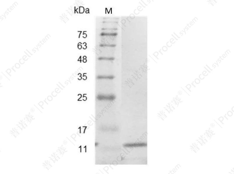 https://789.bio/ec/R8C8pH