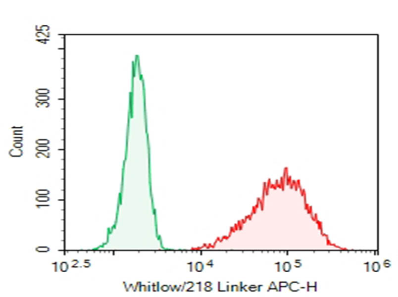 HEK293T cells transfected with anti-CD19(FMC63 scFv with Whitlow/218 Linker) CAR were stained with 0.2 ug Purified Anti-Whitlow/218 Linker Antibody[DA011] (Right) and 0.2 ug Rabbit IgG, &kappa; Isotype Control (Left), followed by APC-conjugated Goat Anti-Rabbit IgG Secondary Antibody.