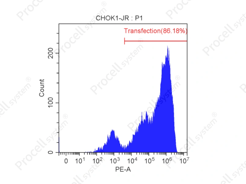Mergene1000<sup>&reg;</sup> CHO-K1 Cell-Specific mRNA Transfection Reagent - 2
