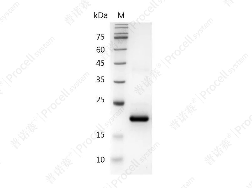 https://789.bio/ec/RC8KZD
