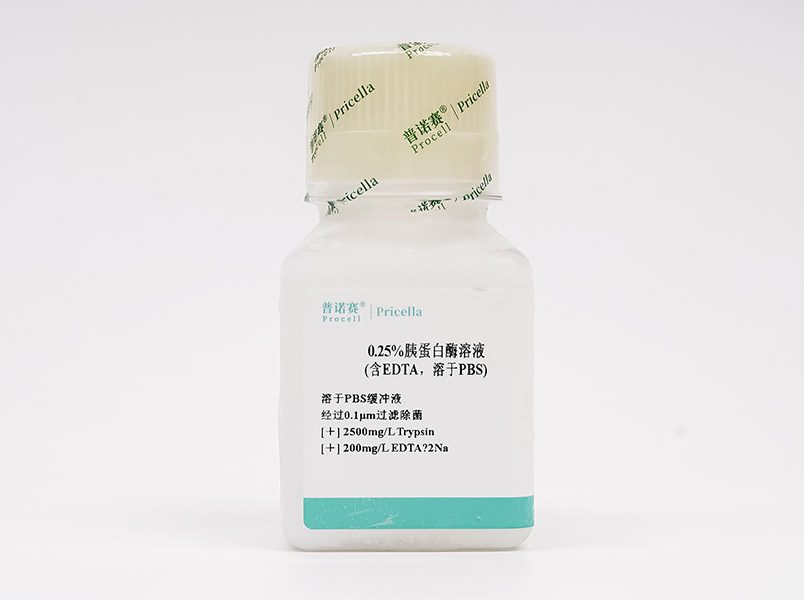 https://789.bio/ec/RCxWHG