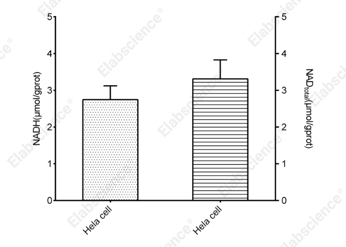 NAD⁺/NADH Colorimetric Assay Kit (WST-8) - 3