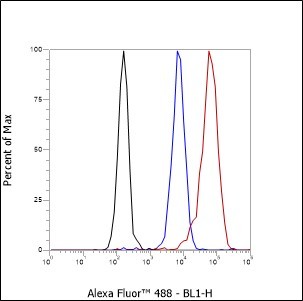 Recombinant Histone H4 (Mono Methyl Lys12) Monoclonal Antibody - small - 7