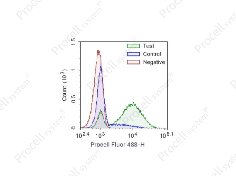 One-step TUNEL Flow Cytometry Apoptosis Kit (Green, Procell Fluor 488)