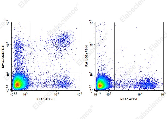 PE Anti-Mouse NKG2A/C/E Antibody[20d5]-1