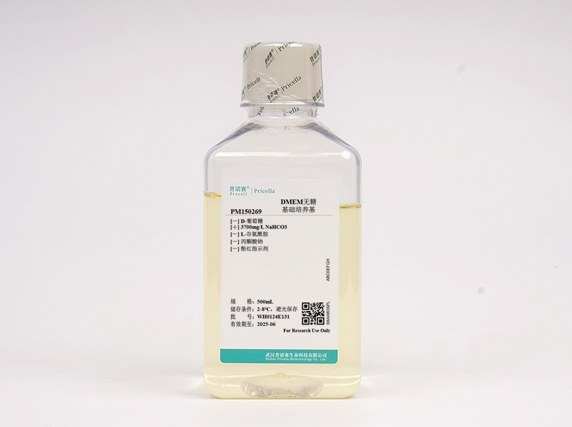 https://789.bio/ec/RKVLlL
