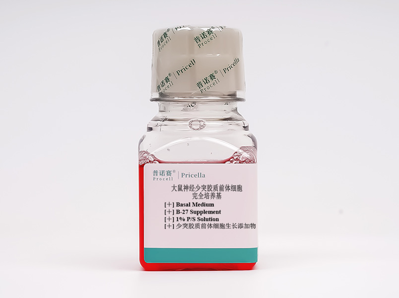 https://789.bio/ec/RO0dS8