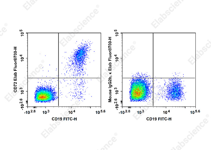 Elab Fluor® 700 Anti-Human CD72 Antibody[3F3]-1