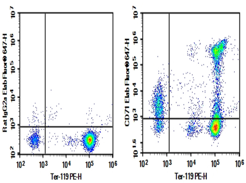 AF/LE Purified Anti-Mouse CD71 Antibody[R17 217.1.3/TIB-219]-1